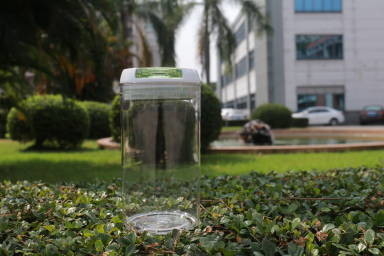 FDA Onaylı Kilitlenebilir Kapaklı Geri Dönüştürülebilir Plastik Konteyner BPA İçermez